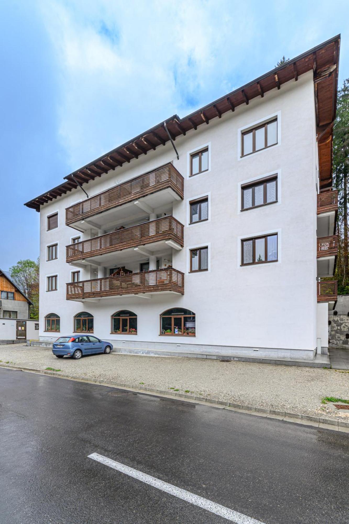 Alpin Clabucet Studio Predeal Εξωτερικό φωτογραφία